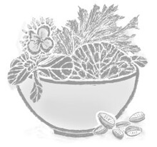 Illustration Salatschüssel
