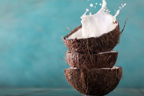Die Kokosnüsse für diese Kokosmilch stammen aus ökologisch kontrolliertem Anbau.